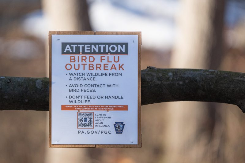 Lancaster County, Pennsylvania, Febuary 4, 2025: Sign warning visitors at Middle Creek Wildlife Management Area of Avian bird-flu outbreak in snow geese.
